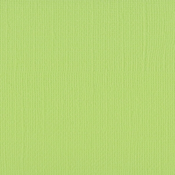 Vaessen Creative Florence Tonkarton Texture Celery 12x12"